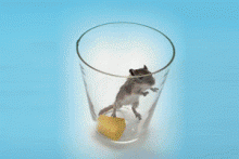 ������ ������� ��� ���������� ��������